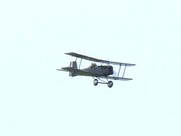 SE5a