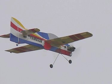 プライマス50