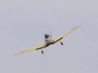 真後ろから見たPT−19