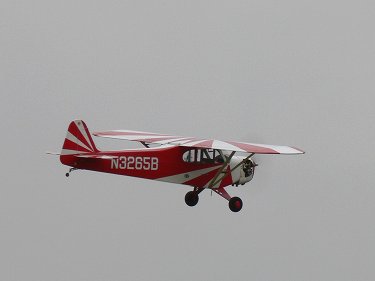 赤いシタブリア