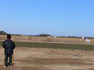 風に負けてます