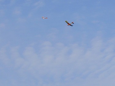 空撮中のモス
