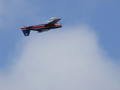 もう一機のExtra300