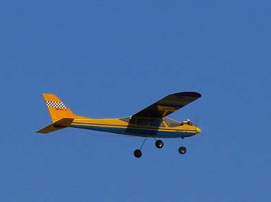 本命の肩翼機