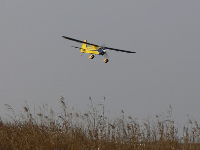 Sky WalkerFokker D7