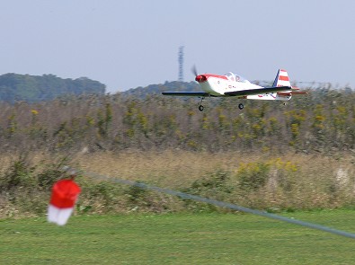 ptChipmunk