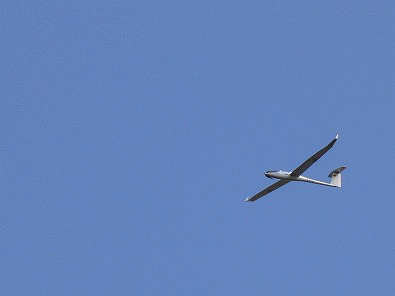 DG-1000