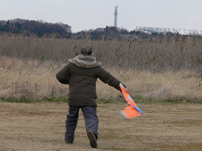 無尾翼機のSAL投げ