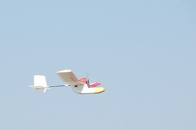 iCgA