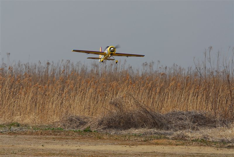 YAK-54̒