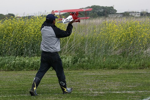 dFokker D7蓊Ŕi