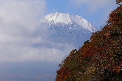 TԁAR