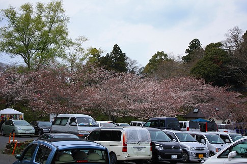 駐車場の混雑 駐車場の混雑