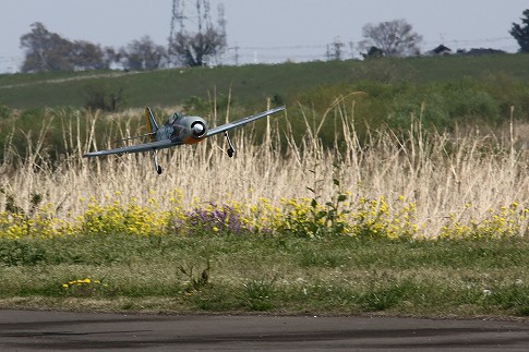 FW-190̋A