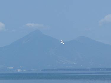北崎さんの飛行艇