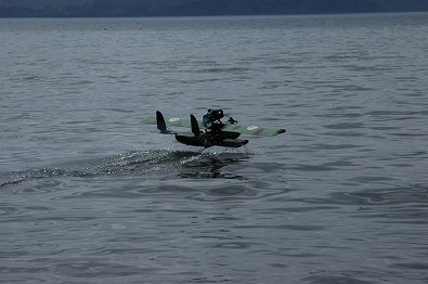綺麗な離水