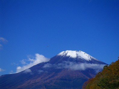気持ち良さそう