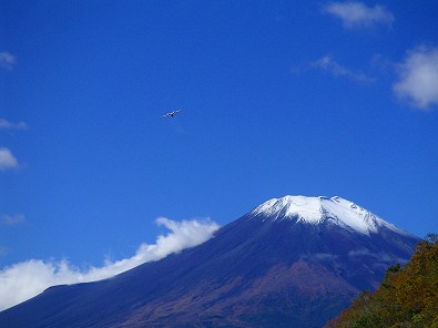 ツインマリーナ