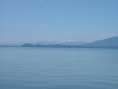 A̗lȐʁI